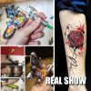 Dragohawk pro coils tattoo machine