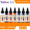 tattoo ink set